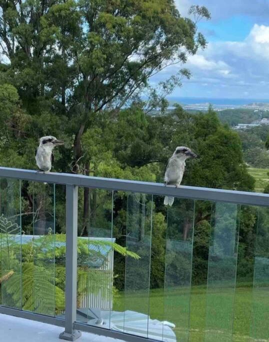 Ocean View Oasis, Coffs Harbour Apartment Екстериор снимка