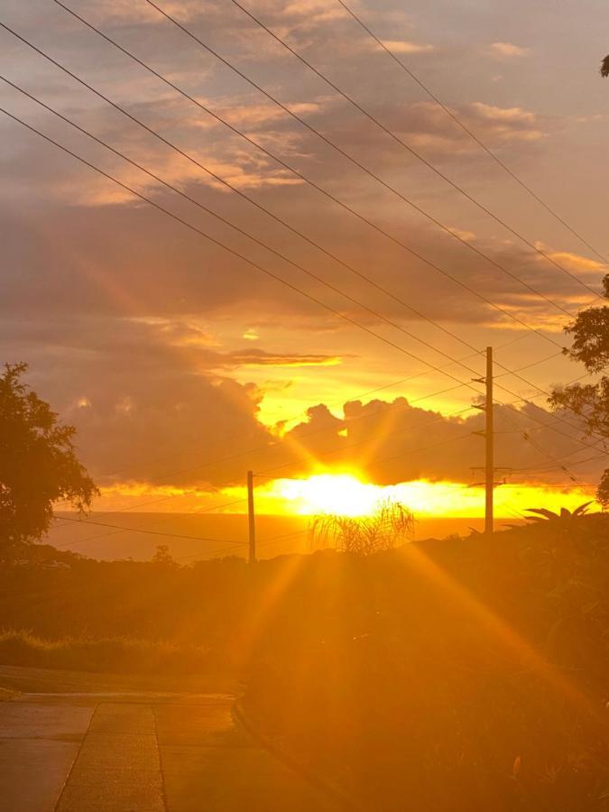 Ocean View Oasis, Coffs Harbour Apartment Екстериор снимка